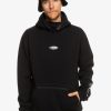 Homme Quiksilver Sweats & Pulls | Big Logo - Sweat A Capuche Technique Pour Homme True Black